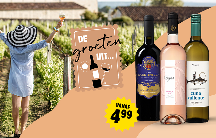 https://www.wijnvoordeel.nl/media/wysiwyg/D7975_de_groeten_uit_web_hero_mob_wvdnl.png
